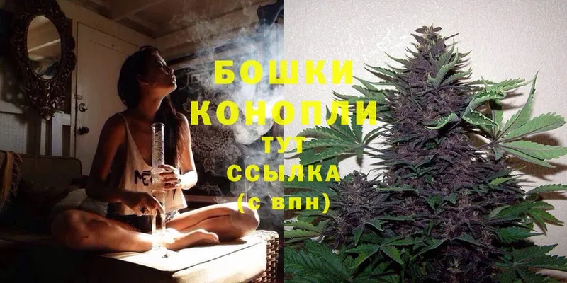 Бошки Шишки индика  Инсар 